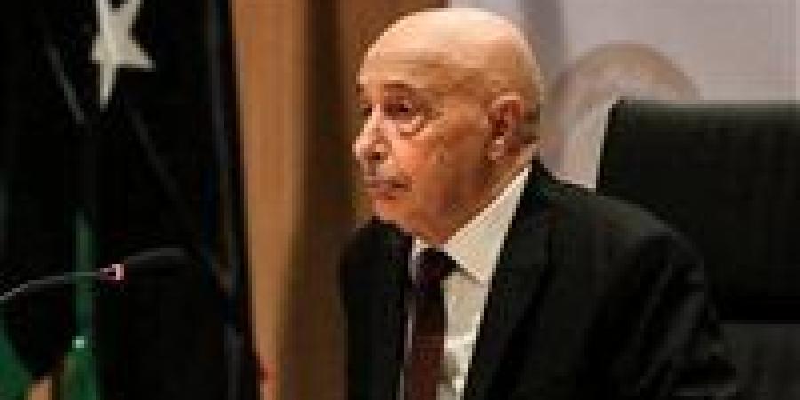 ليبيا.. عقيلة صالح يستجيب لـ«حراك الوطن» ويؤكد الإسراع بالانتخابات - تواصل نيوز