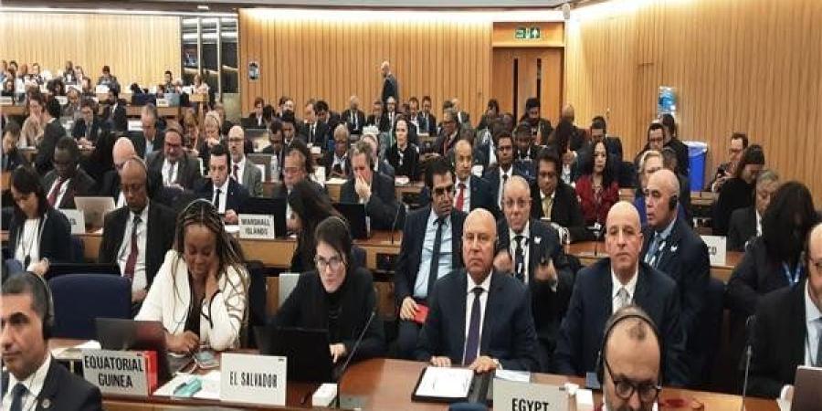 عاجل.. مصر تفوز بعضوية مجلس المنظمة البحرية الدولية الفئة «C» للمرة السادسة على التوالي - تواصل نيوز