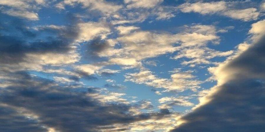 حالة الطقس اليوم الجمعة 28-11-2025.. «شبورة كثيفة وانخفاض درجات الحرارة» - تواصل نيوز