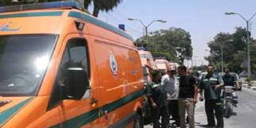 مصرع طفل وإصابة 2 آخرين أطاحت بهم سيارة مسرعة بكفر شكر في القليوبية - تواصل نيوز