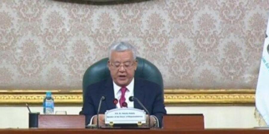 رئيس مجلس النواب: لا سبيل للسلام إلا بإقامة الدولة الفلسطينية - تواصل نيوز