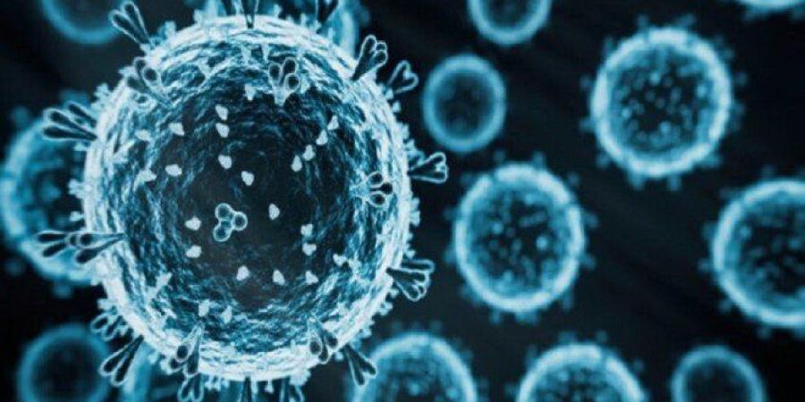 عالم أوبئة روسي: سلالة إنفلونزا الطيور H5N5 لا تهدد البشر - تواصل نيوز