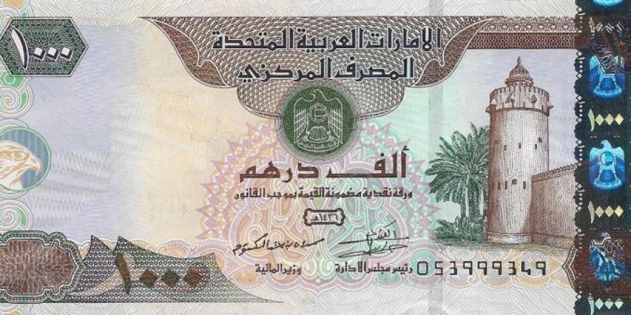 سعر الدرهم الإماراتي مقابل الجنيه المصري اليوم السبت 29 نوفمبر 2025 - تواصل نيوز
