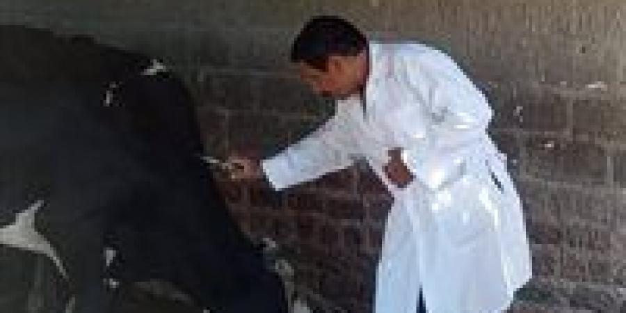 أسيوط: تحصين 112 ألف رأس ماشية ونشر 1,574 فرقة بيطرية ضمن الحملة القومية الثالثة خلال 5 أسابيع - تواصل نيوز