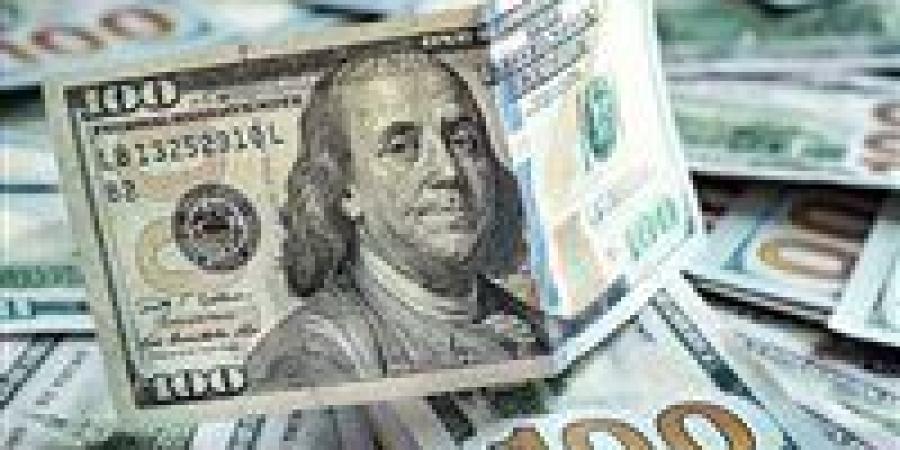 اقتصادي: الجنيه المصري يدخل مرحلة استقرار نسبية.. والإصلاح الهيكلي يدعم النمو خلال 2025 - تواصل نيوز