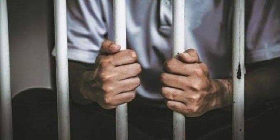 «ذئاب في هيئة بشر».. حبس المتهمين بالتعدي على طفلين في إمبابة - تواصل نيوز