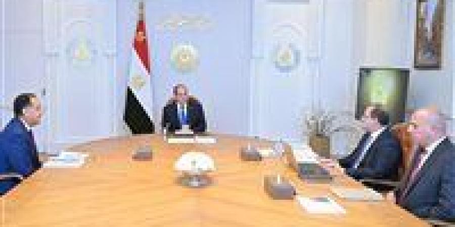 الاستثمار في العنصر البشري على الطاولة..تفاصيل اجتماع الرئيس السيسي مع الحكومة - تواصل نيوز