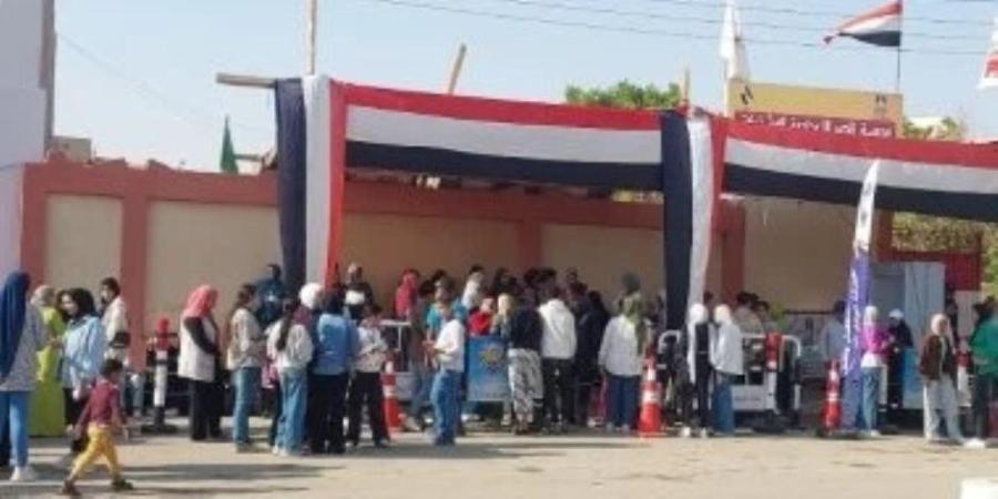 إبطال 29 دائرة.. تقرير شامل عن أكبر موجة إلغاء انتخابى تشهدها انتخابات النواب - تواصل نيوز