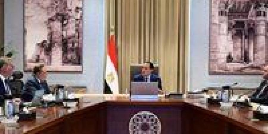 رئيس الوزراء يتابع توافر الاحتياطي الإستراتيجي من المنتجات البترولية وموقف سداد مستحقات الشركاء الأجانب - تواصل نيوز