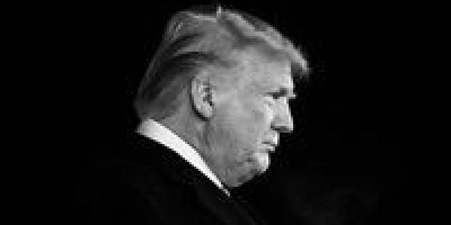 ترامب يفتح النار على الإخوان.. التنظيم الدولي تحت المجهر العالمي - تواصل نيوز