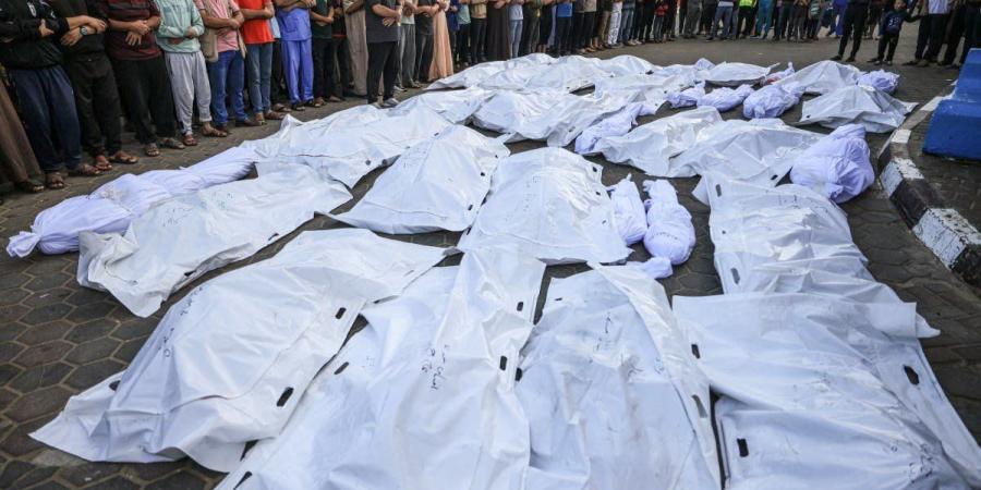 ارتفاع حصيلة ضحايا العدوان الإسرائيلي على غزة إلى 70103 شهداء و170985 مصابا - تواصل نيوز