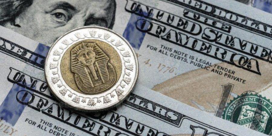 سعر الدولار مقابل الجنيه المصري اليوم الأحد 30 نوفمبر 2025 - تواصل نيوز