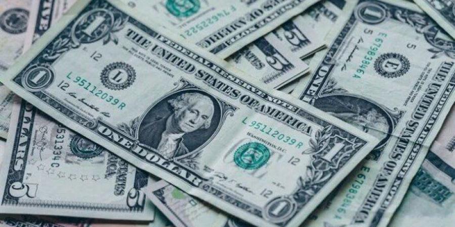 الأخضر بكام؟.. سعر الدولار اليوم مقابل الجنيه المصري الاثنين 1 ديسمبر 2025 - تواصل نيوز