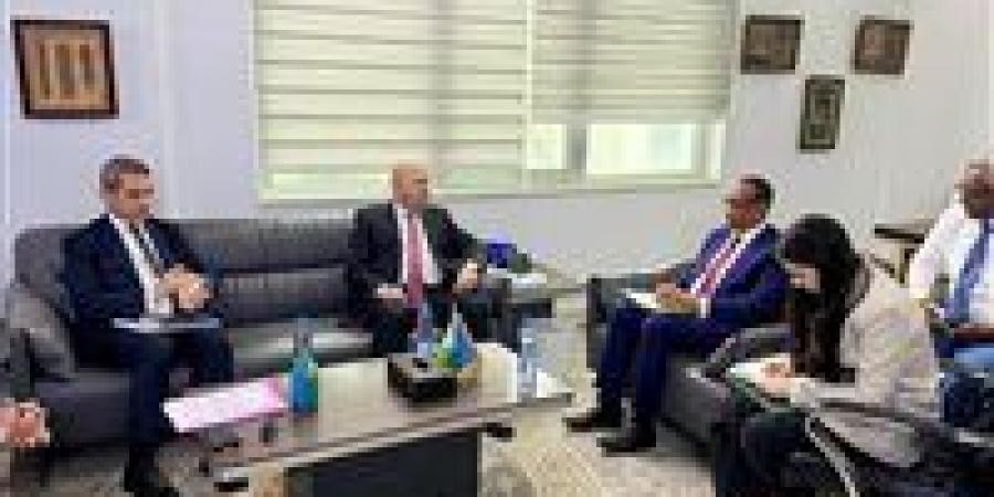 من الدواء إلى الزراعة الذكية.. مصر تعمق شراكتها الاقتصادية مع جيبوتي - تواصل نيوز