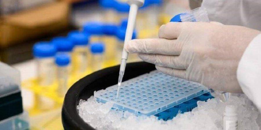 ابتكار روسي يتيح "إضاءة" البكتيريا وكشف أسرار بيئتها الطبيعية - تواصل نيوز