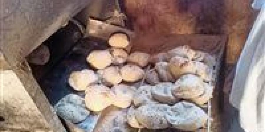 متحدث الحكومة: نصيب الفرد لا يزال ثابتاً عند 150 رغيف - تواصل نيوز