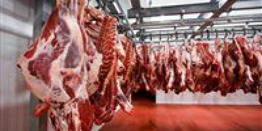 مفاجأة نهاية العام.. مصر تحقق الاكتفاء الذاتي من هذه المنتجات - تواصل نيوز