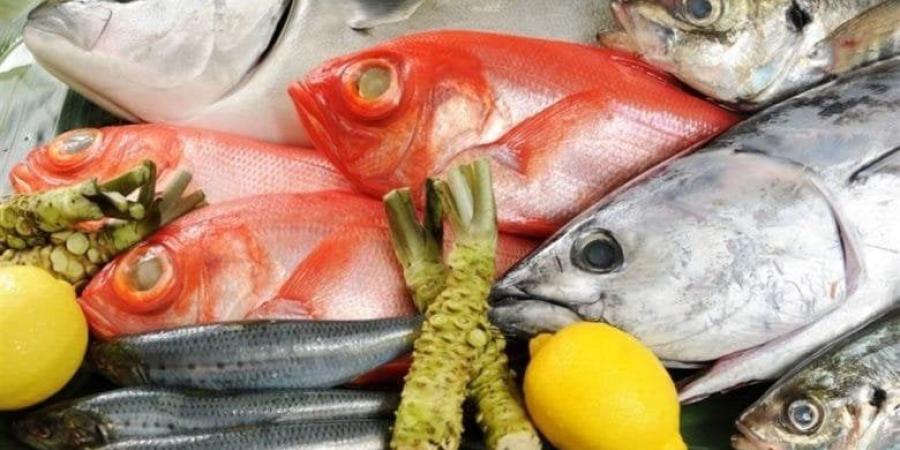 البروي بـ 240 جنيها.. أسعار الأسماك والجمبري اليوم الثلاثاء 30 ديسمبر 2025 - تواصل نيوز
