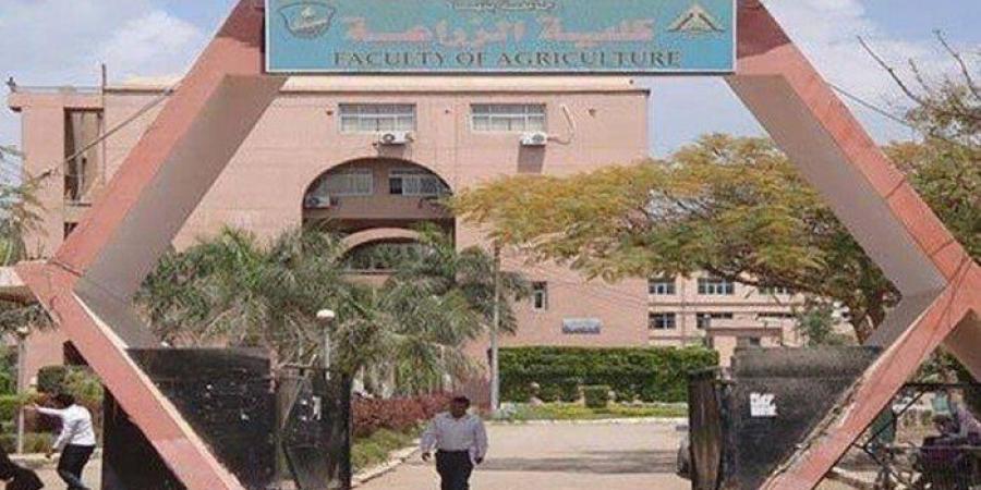 محاكاة شركات ناشئة بجامعة بنها تنتج 21 منتجًا غذائيًا مبتكرًا - تواصل نيوز