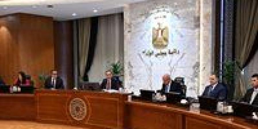مجلس الوزراء يقر حزمة قرارات لتعزيز السياحة والاستثمار وتطوير البنية الاقتصادية في مصر - تواصل نيوز