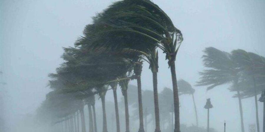 رياح عاتية تنهي رحلة 3 متسلقين في جبال جنوب كاليفورنيا - تواصل نيوز