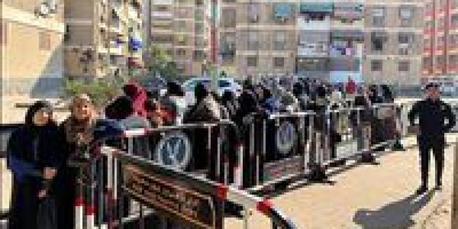 تحيا مصر يرصد جولة الإعادة في المنيا والوادي الجديد والإسكندرية وسوهاج.. منافسة بين 34 مرشح - تواصل نيوز