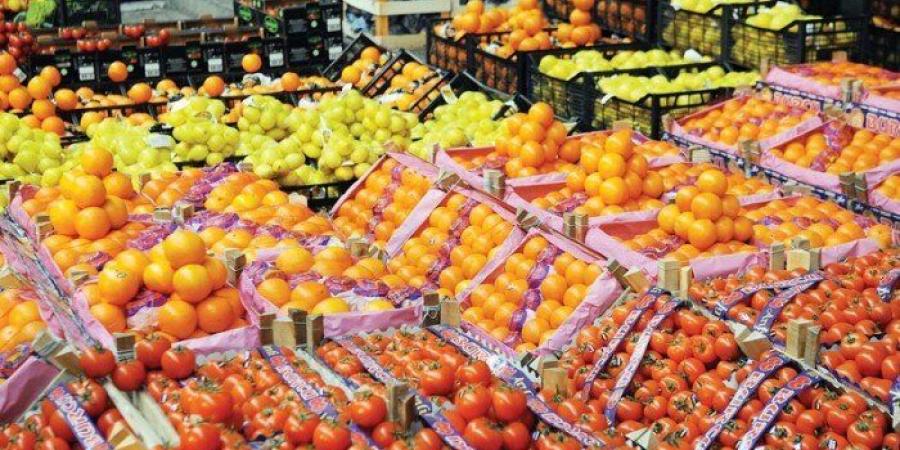 «متحدث الزراعة»: مصر حققت طفرة غير مسبوقة في ملف الصادرات الزراعية هذا العام - تواصل نيوز