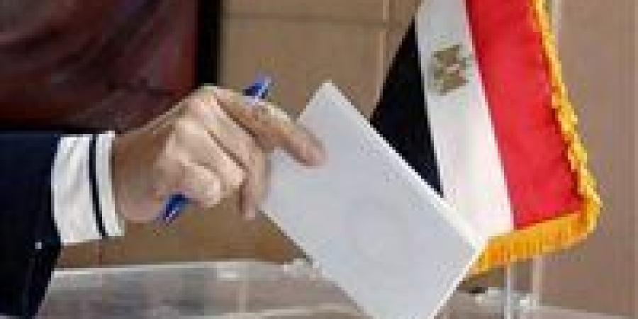 السفارات المصرية في 18 دولة تفتح أبوابها لاستقبال الناخبين في انتخابات مجلس النواب - تواصل نيوز