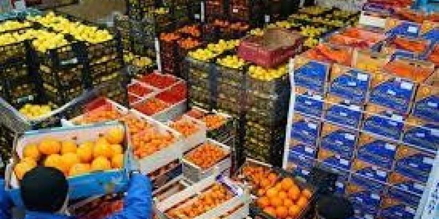 تصل إلى 9 ملايين طن.. مصر تحقق طفرة تاريخية في الصادرات الزراعية - تواصل نيوز