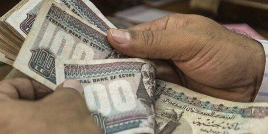 خاص| البنك الأهلي المصري يخفض سعر الفائدة على قروض السيارة والشخصية - تواصل نيوز