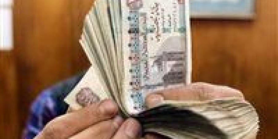 رسميًا وبشرى سارة قبل رأس السنة.. صرف منحة عيد السنة الميلادية للعمالة غير المنتظمة - تواصل نيوز