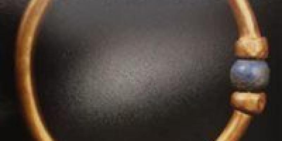 المحكمة تقضي بالسجن المشدد على موظفة ومتهم في سرقة أسورة أثرية بالمتحف المصري - تواصل نيوز