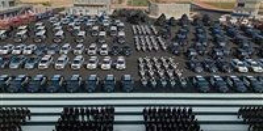 الداخلية ترفع درجة الاستعداد القصوى لتأمين احتفالات رأس السنة وأعياد الميلاد: الشرطة النسائية تشارك بفاعلية في التأمين مع دعم تقني ولوجيستي متطور - تواصل نيوز