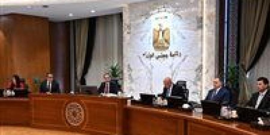 الحكومة توافق على مد العمل بالتأشيرة الترانزيت مجاناً لمدة عام - تواصل نيوز