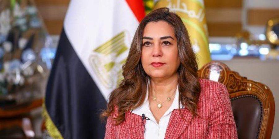 مصر.. وزيرة التنمية المحلية تهنئ الرئيس السيسي بالعام الميلادي الجديد - تواصل نيوز