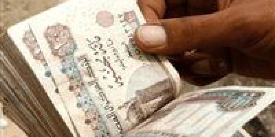 صرف معاشات يناير 2026: لا تأجيل رغم إجازة البنوك.. تعرف على كل التفاصيل! - تواصل نيوز