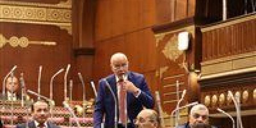 النائب حازم الجندي يتقدم باقتراح برغبة لسرعة إنهاء أزمة قصر ثقافة طنطا وتوفير مقر بديل دائم - تواصل نيوز