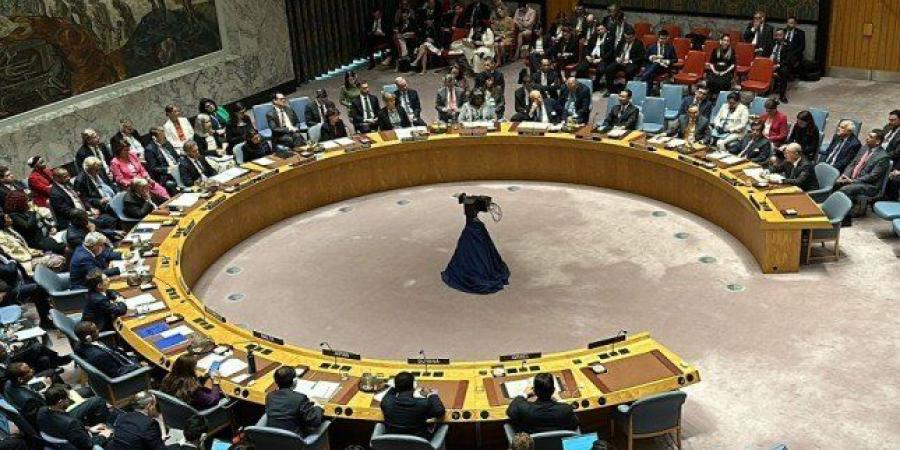 الصومال يتولى رئاسة مجلس الأمن الدولي خلال يناير الجاري - تواصل نيوز