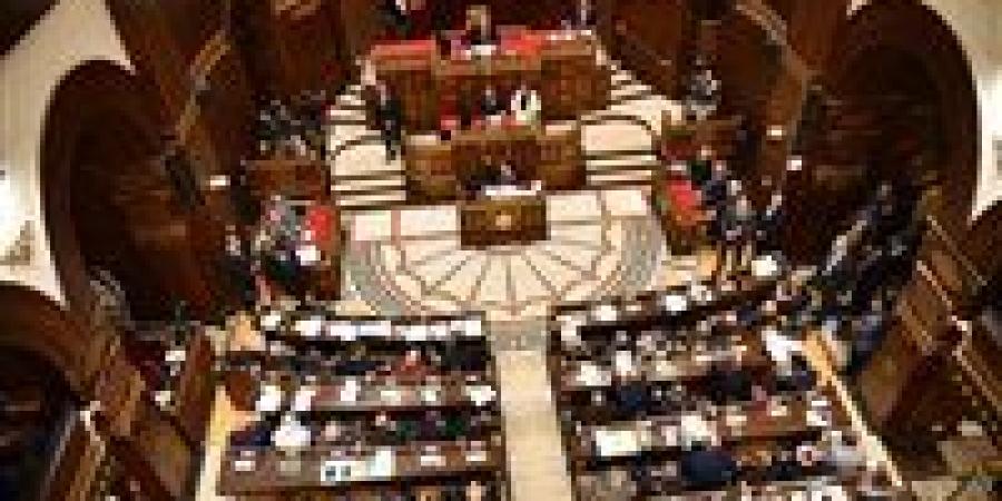 خاص لـ تحيا مصر: وزير الثقافة أمام مجلس الشيوخ.. الثلاثاء المقبل - تواصل نيوز