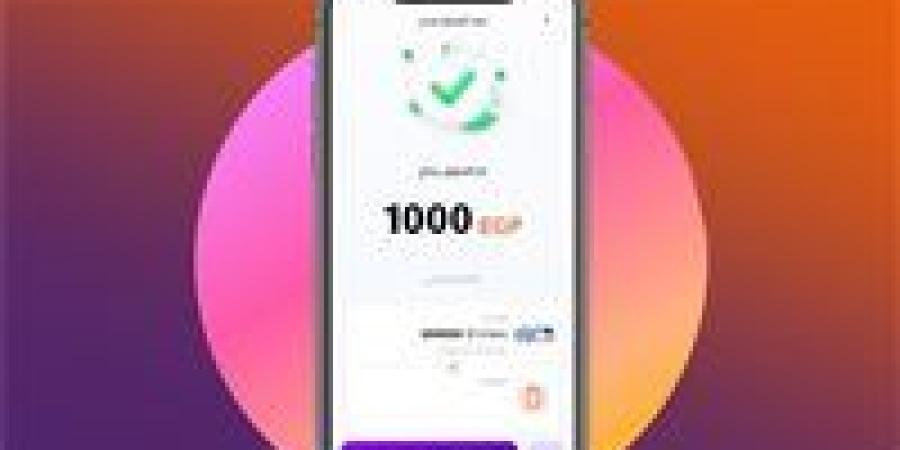 الحد الأقصى للتحويل عبر إنستاباي بعد قرارات البنك المركزي - تواصل نيوز