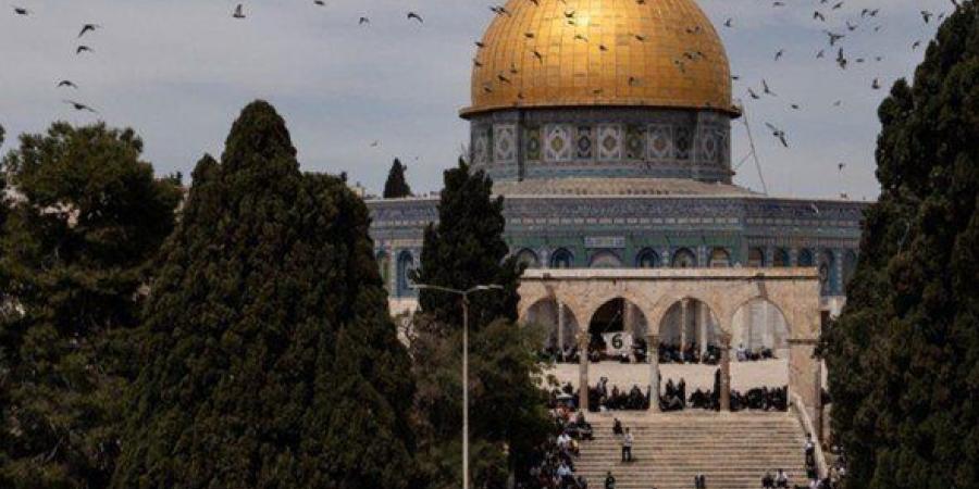 محافظة القدس: 144 شهيدا وأكثر من 11500 حالة اعتقال خلال خمس سنوات - تواصل نيوز