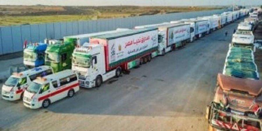 متحدث اللجنة المصرية في غزة: نقدم الدعم اللازم والإغاثة العاجلة لأبناء الشعب الفلسطيني - تواصل نيوز