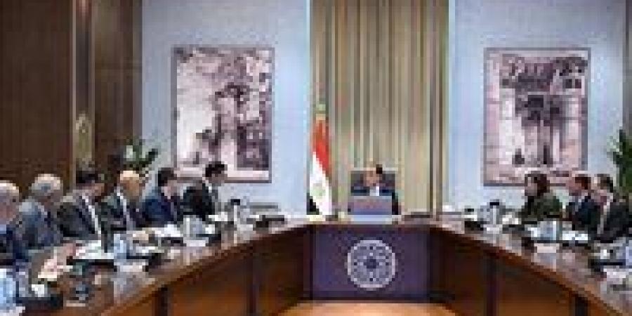 رئيس الوزراء يتابع موقف تنفيذ الأعمال المتبقية بحديقة الفسطاط تمهيدًا للافتتاح والتشغيل - تواصل نيوز