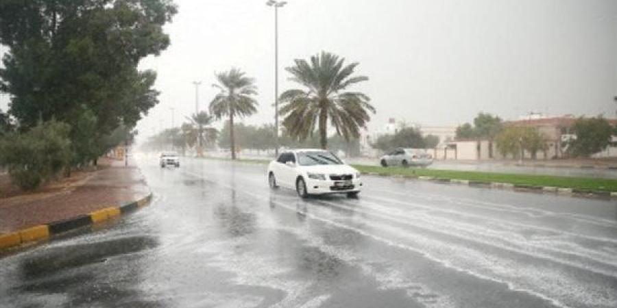 تحذير عاجل من الأرصاد الجوية المصرية: شبورة كثيفة وأمطار متوقعة تضرب عدة مناطق حتى صباح الجمعة - تواصل نيوز