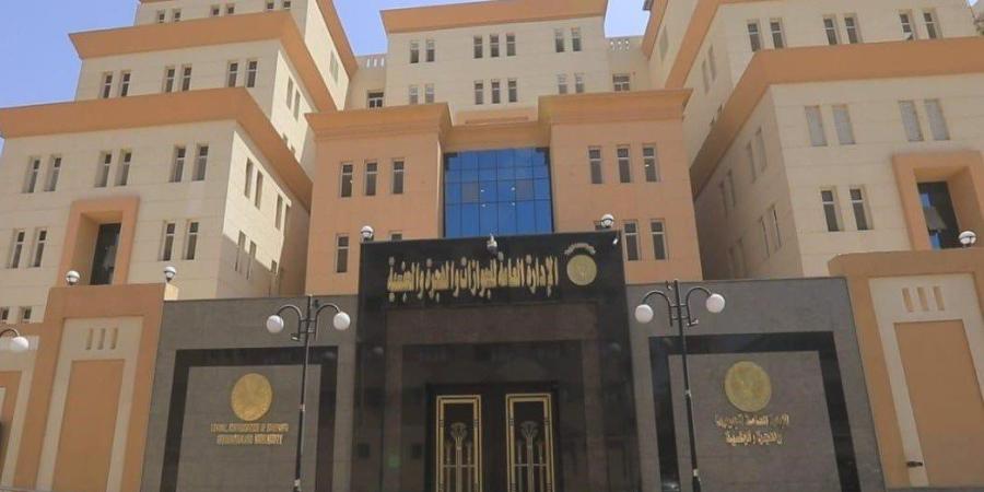 لـ كبار السن وذوي الهمم.. «الجوازات» تواصل إجراءات تسهيل الحصول على خدماتها - تواصل نيوز