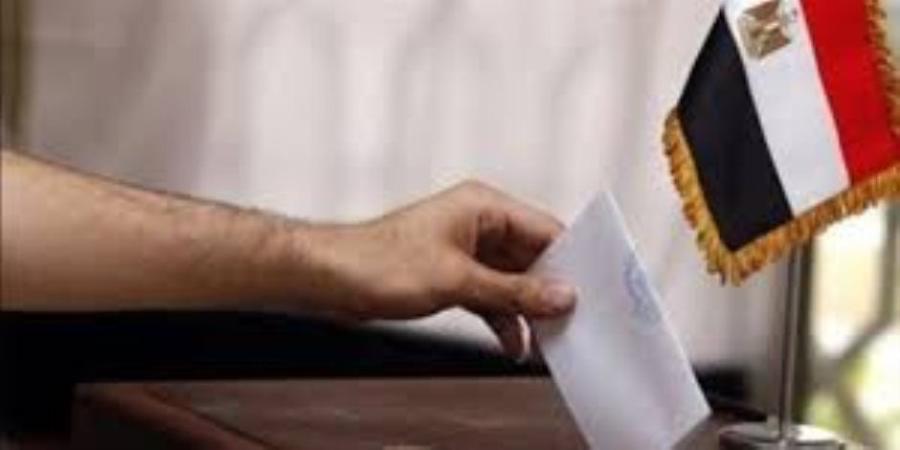 بدء ثانى أيام اقتراع المصريين المقيمين في لوس أنجلوس بانتخابات النواب - تواصل نيوز