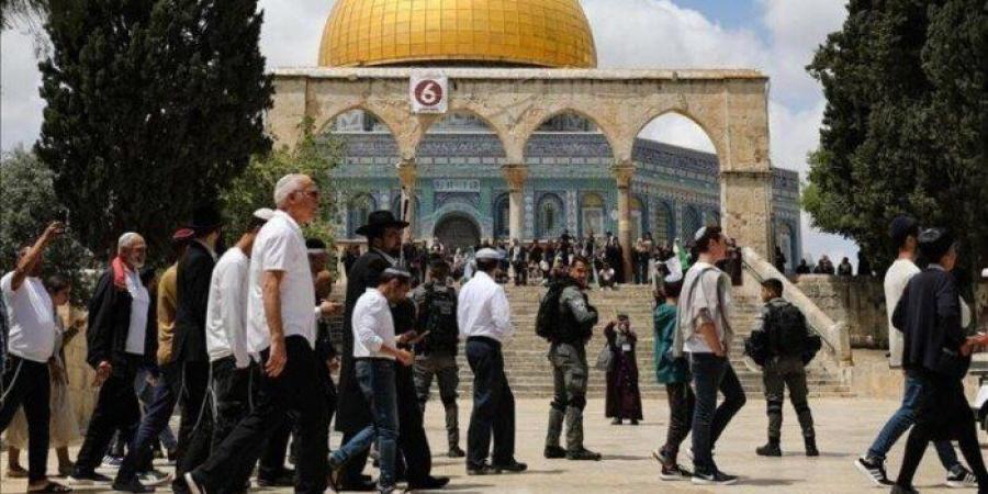 أكثر من 200 مستعمر يقتحمون ساحات المسجد الأقصى المبارك - تواصل نيوز
