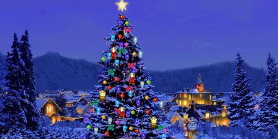 ما حكم شراء شجرة الكريسماس والزينة؟ دار الافتاء تجيب - تواصل نيوز