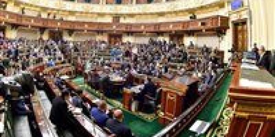 وفقا للقانون الجديد.. حالات تنهي لجوء الأجانب في مصر - تواصل نيوز