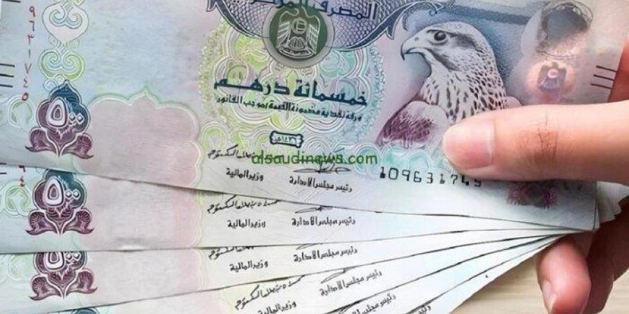 سعر الدرهم الإماراتي مقابل الجنيه المصري اليوم الجمعة 2 يناير 2026 - تواصل نيوز